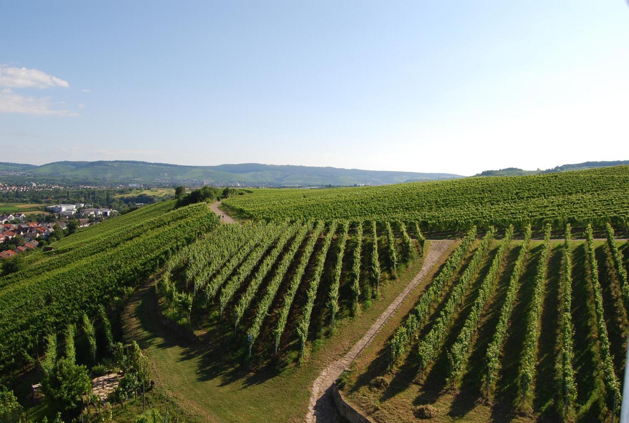 Unter Der Yburg Stetten Stetten  Esterno foto
