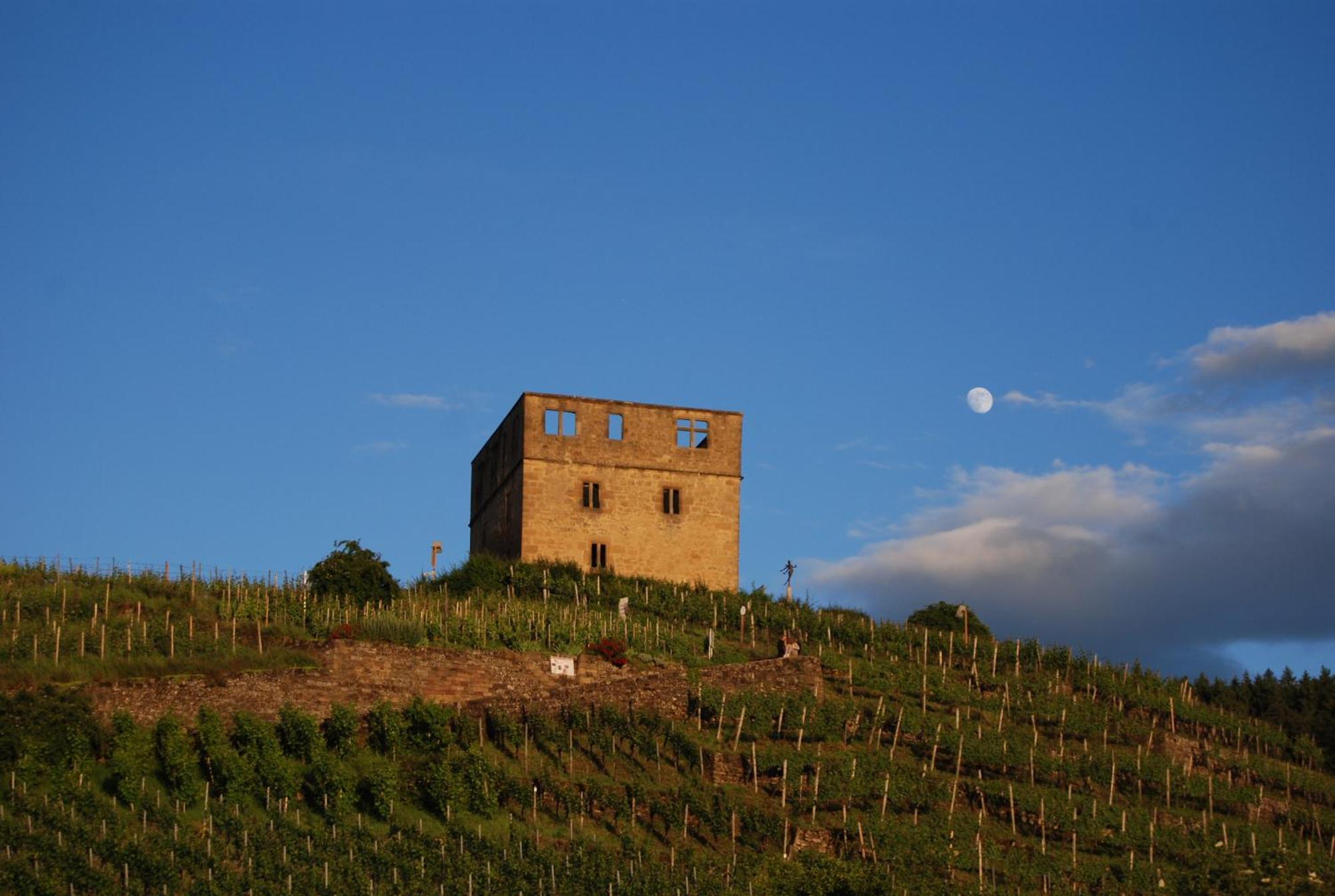Unter Der Yburg Stetten Stetten  Esterno foto