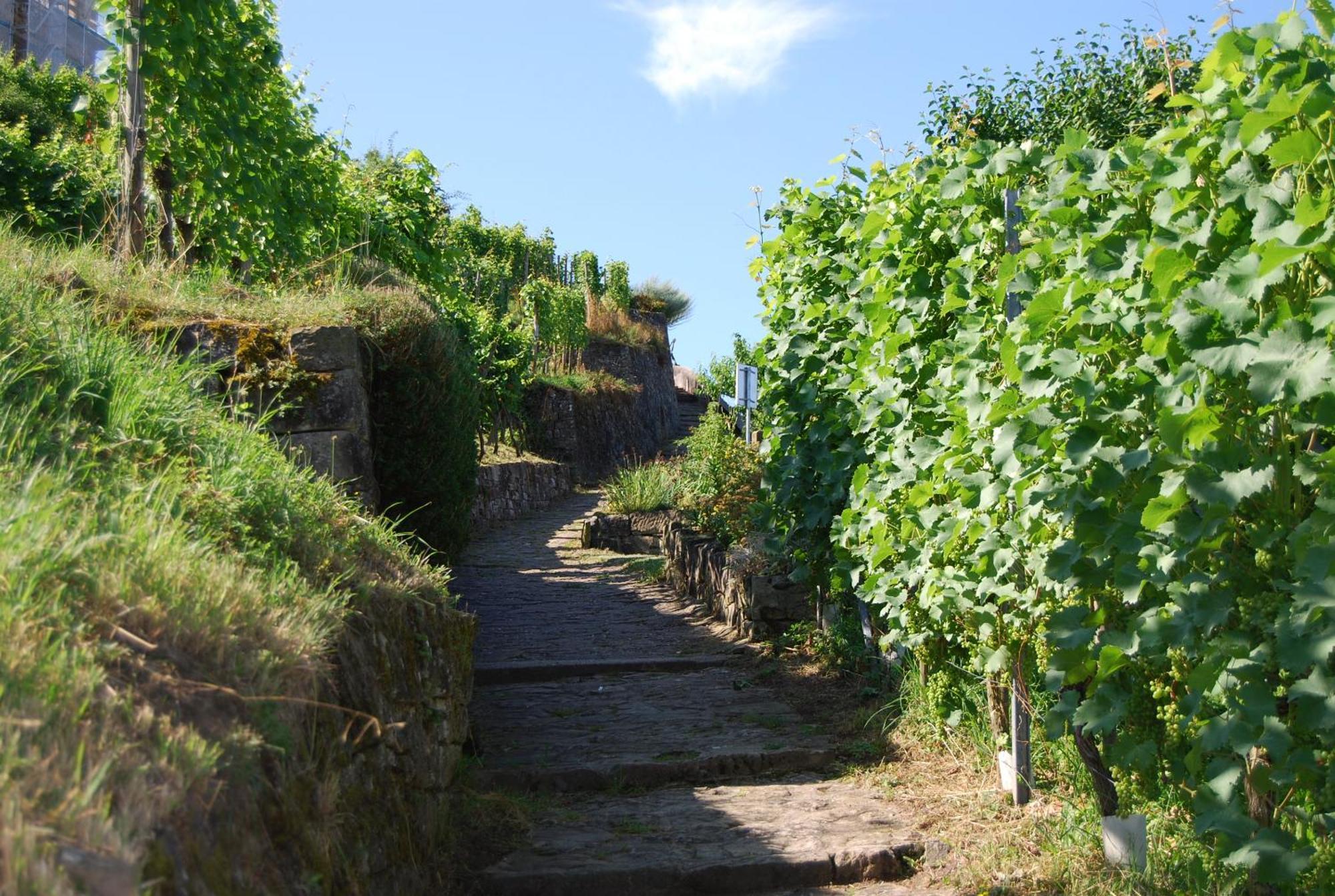 Unter Der Yburg Stetten Stetten  Esterno foto