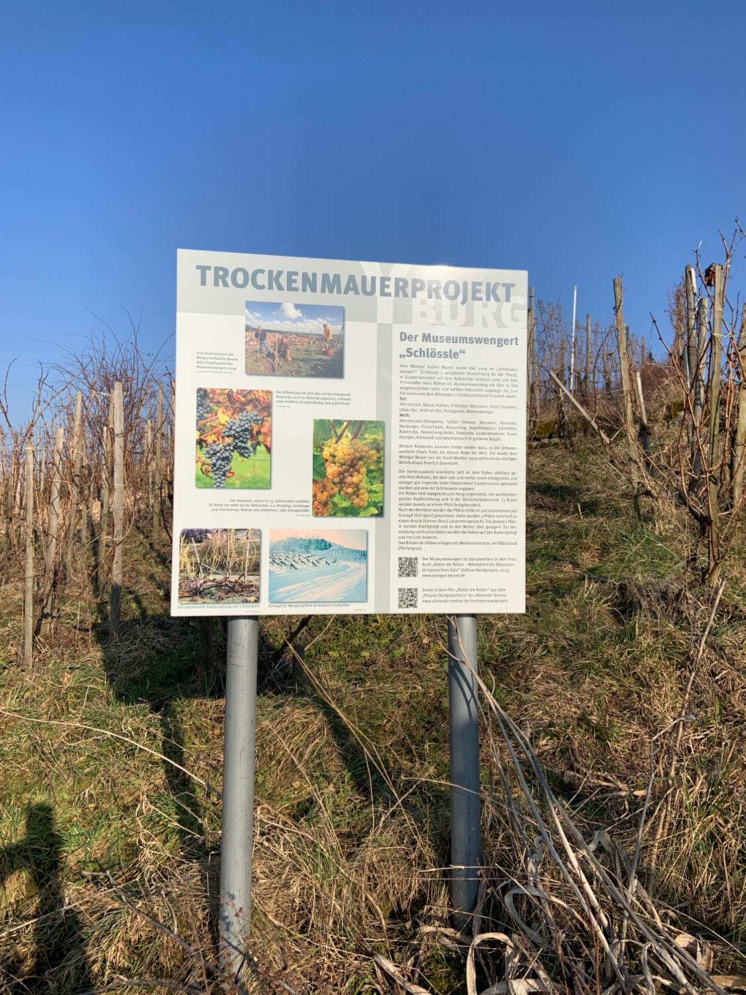 Unter Der Yburg Stetten Stetten  Esterno foto