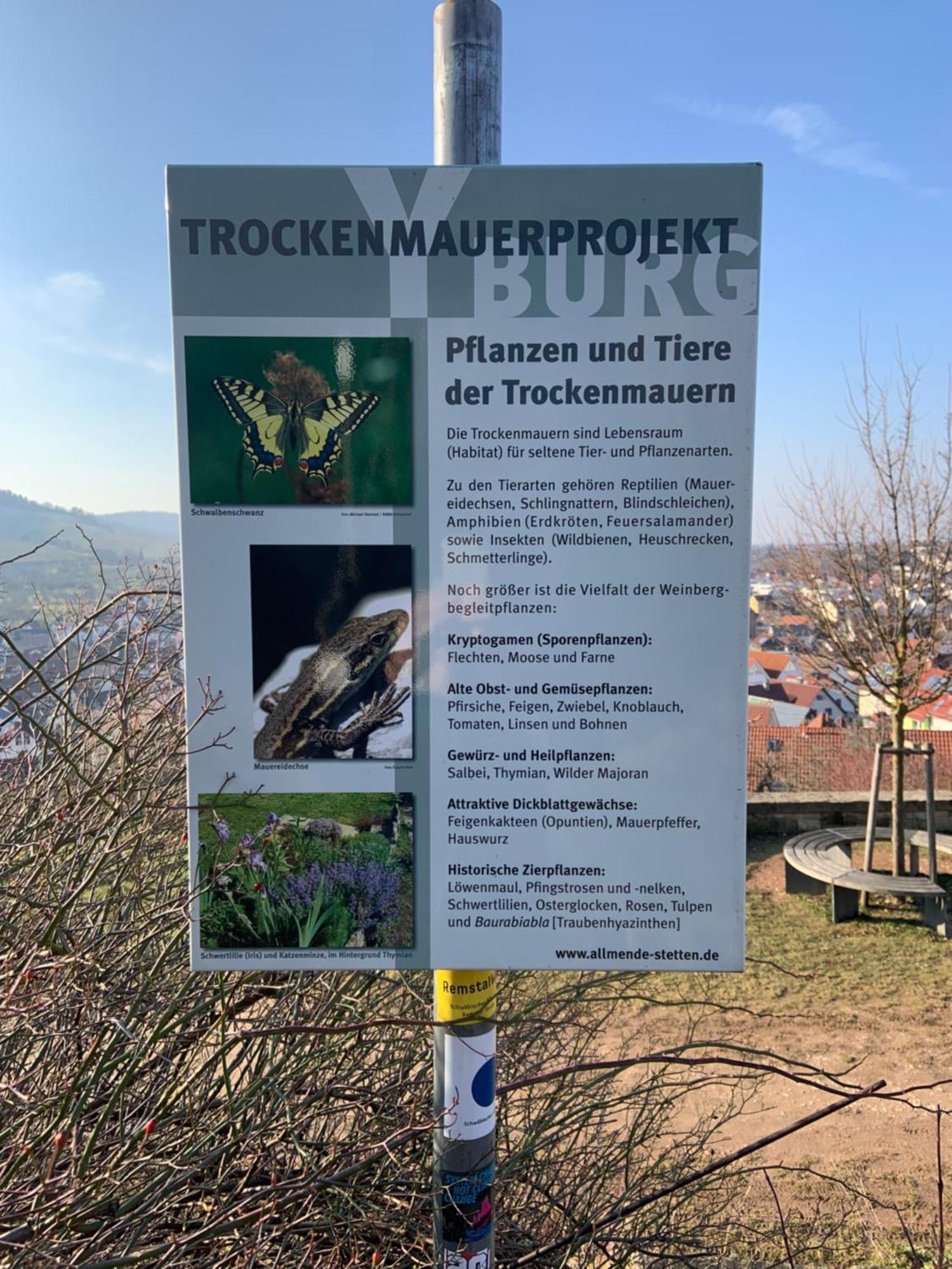 Unter Der Yburg Stetten Stetten  Esterno foto