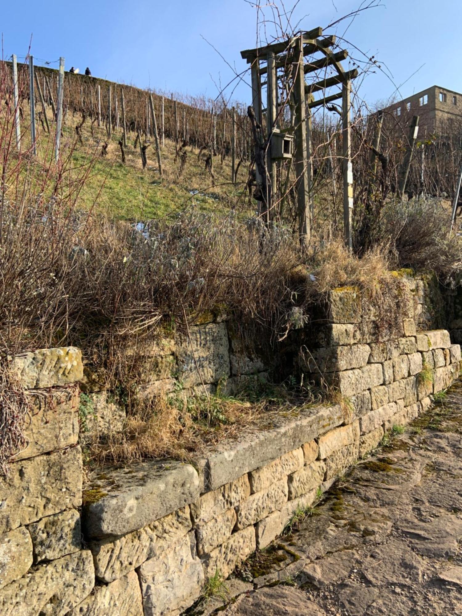 Unter Der Yburg Stetten Stetten  Esterno foto