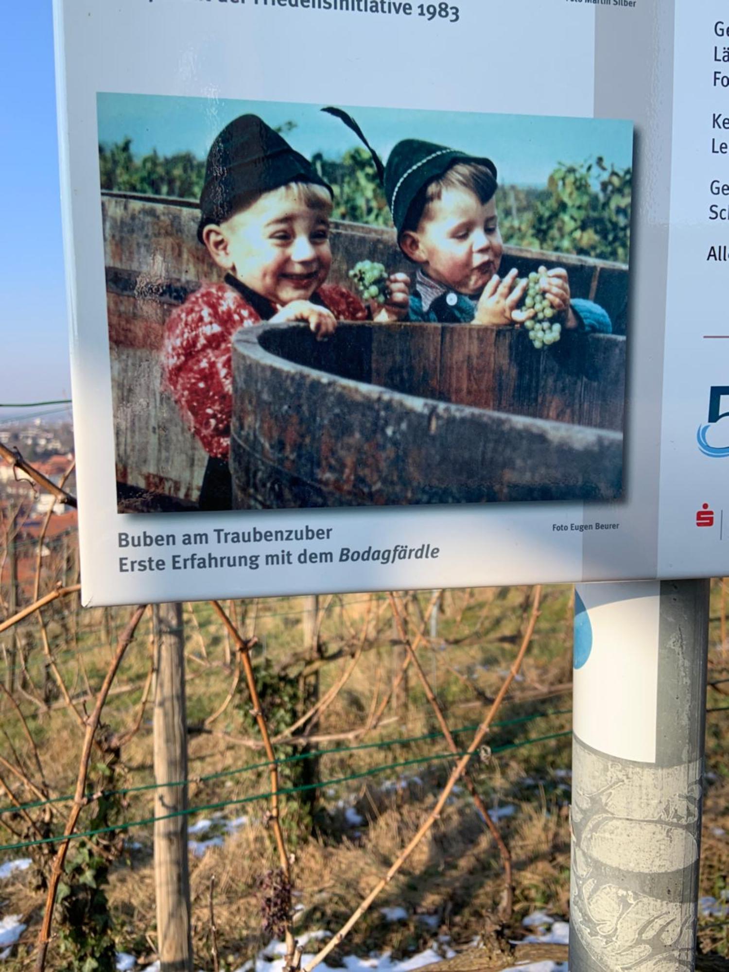 Unter Der Yburg Stetten Stetten  Esterno foto